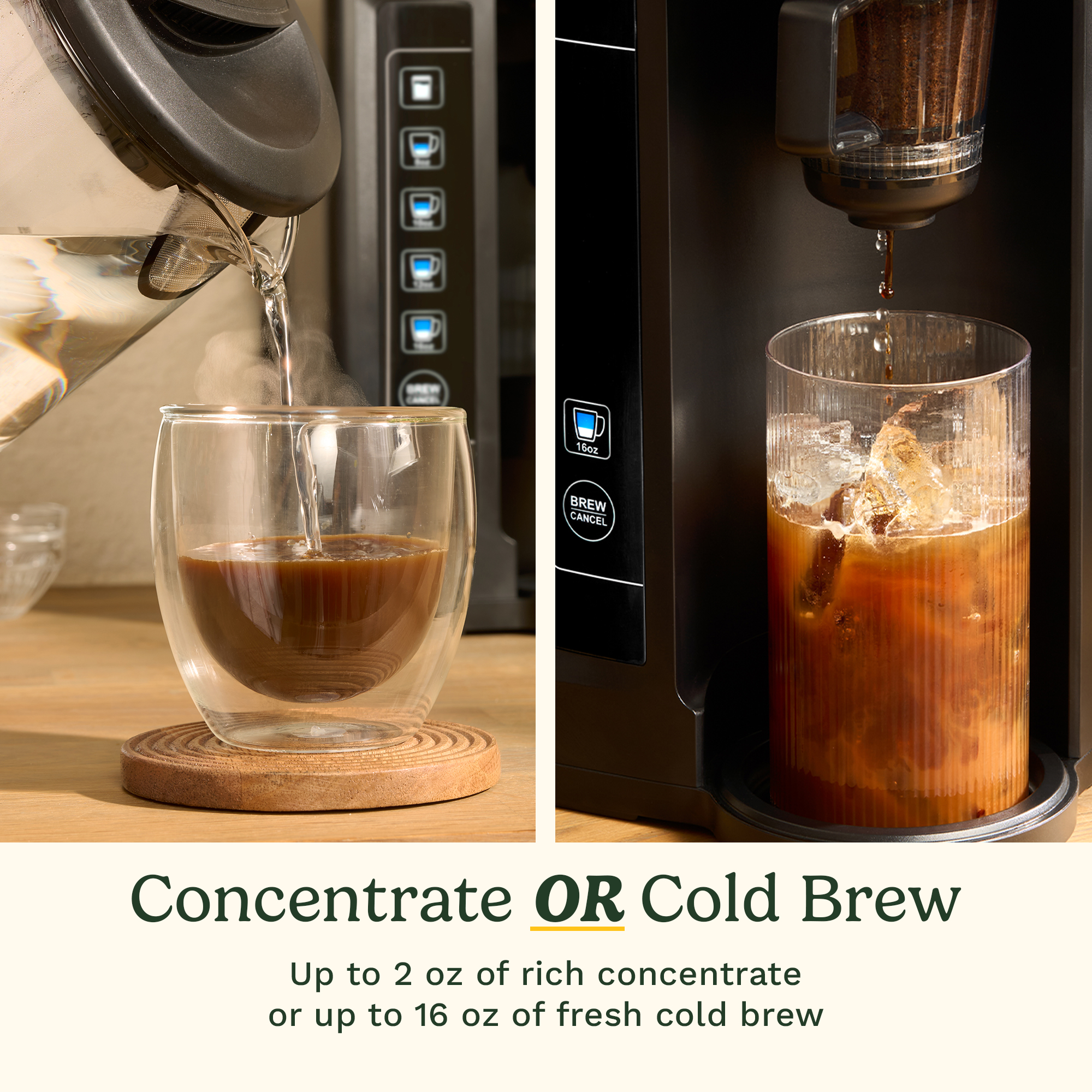 <strong>Pre-order only - Expected in Mid-October</strong> CONCENTRA Coffee Concentrate & Cold Brew Maker CC1U - Image 4